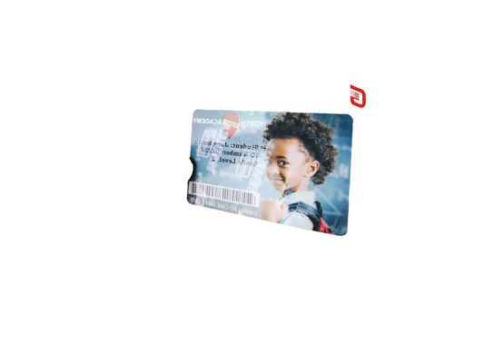 Zebra 800300-562 CN Nastro anti-falsificazione in argento perlato per stampante ZC300/ZC100